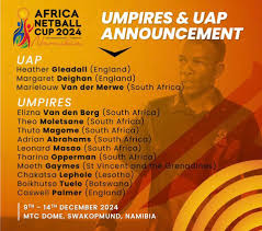 Image result for Flava Netball Club