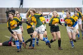 Image result for Bury St Edmunds Rugby Union Football Club
