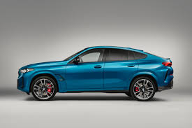 Image result for BMW X6
