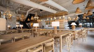 Image result for Sycamore Ttc