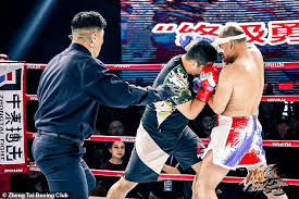 Image result for Southgate T`ai Tsung Chinese Boxing