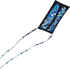 Image result for White Horse Kite Fliers Club