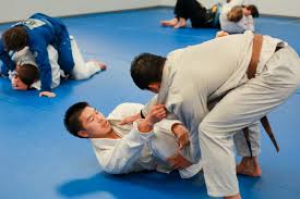 Image result for Impact Martial Arts