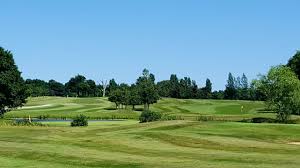 Image result for Billingbear Park Golf Club