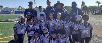 Image result for Hedingham Hawks Youth Football Club