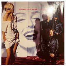 Image result for transvision vamp
