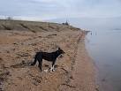 near to Grain, Medway, - via Daymix