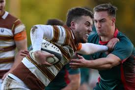 Image result for Southend Rugby Football Club Ltd