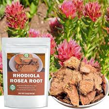 Attēlu rezultāti vaicājumam “Rhodiola rosea”
