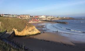 Image result for Tyneside Loipers