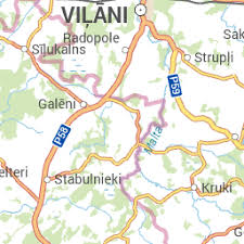 Attēlu rezultāti vaicājumam “Fuligo luteonitens”