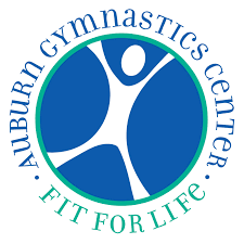 Image result for Pinewood Gymnastics Club