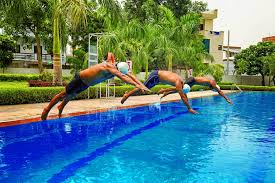 Image result for Deva Handball Club