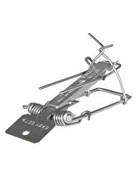 Image result for gepetto tehron