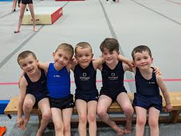 Image result for Spelthorne School Of Gymnastics