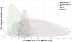 Attēlu rezultāti vaicājumam “Pseudobryum cinclidioides cells”