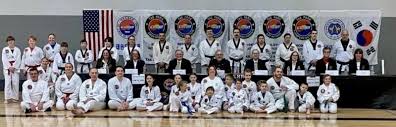 Image result for Parkgate Taekwondo Club