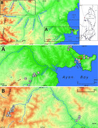Attēlu rezultāti vaicājumam “Cladopodiella francisci macro”