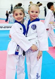 Image result for Phoenix Martial Arts