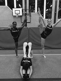 Image result for Falcon Sa Club