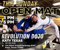 Image result for Revolution Dojo