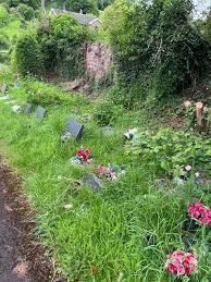 Image result for Ladock Smbc