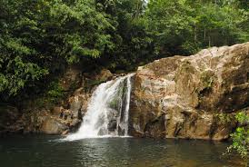 Image result for синхараджа