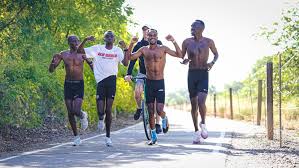 Image result for Tingley Athletic