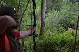 Image result for Pentref Bowmen