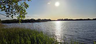 Image result for Hull & District Anglers' Association