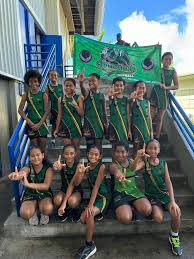 Image result for Leapoole Netball Club