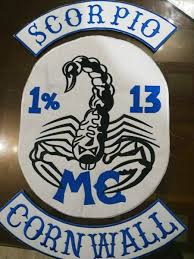 Image result for Scorpions Table Tennis Club