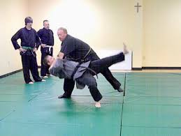 Image result for Bridge Hall Bujinkan Dojo