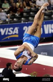 Image result for Thornton Sport Gymnastics