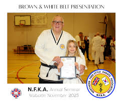 Image result for Northern Freestyle Karate Association