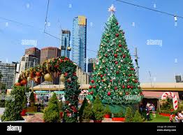 Image result for weihnachten in australien