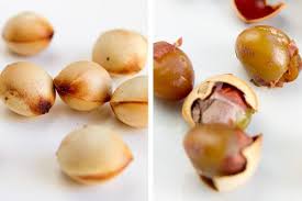 Attēlu rezultāti vaicājumam “Ginkgo biloba fruit”