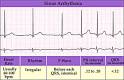 Online Games - Medical Terminology