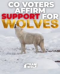 Image result for Ingarfield Condor Team