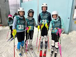 Image result for Gordon Skiers