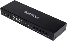 Image result for Uta Matrix