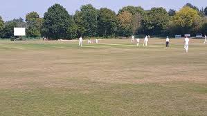 Image result for North Perrott Cc