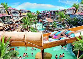 Image result for Alton & District Swimming Club