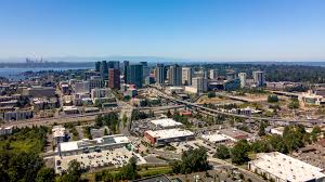 Image result for Bellevue
