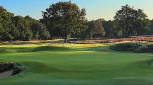 Image result for Royal Wimbledon Golf Club