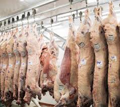 Image result for media res