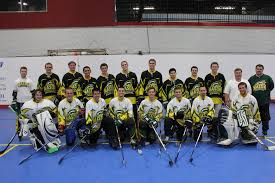 Image result for Team-Tigers Roller Hockey Club
