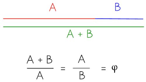 Image result for numero aureo