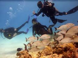 Image result for Abyss Dive Club