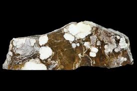 Resultado de imagen para sliced horse